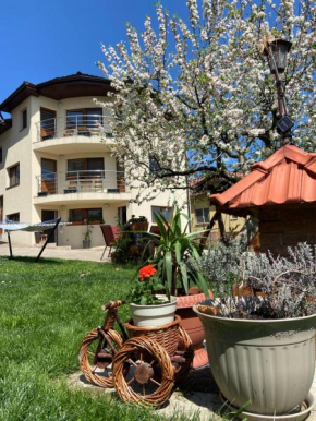 Casa Ana Cluj Cluj-Napoca